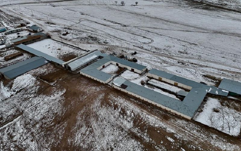 В Алматинской области построят молочно-товарную ферму за 15 млрд тенге