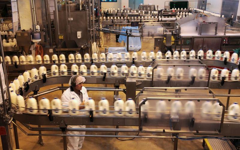 Fonterra's $1 Billion Investment in China's Dairy Market Amid GDT Uncertainty