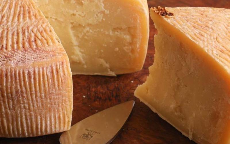 انهيار الجبن: تراجع أسعار جبنة تشيدر في CME يثير إنذار بتقلص الهوامش على مستوى البلاد