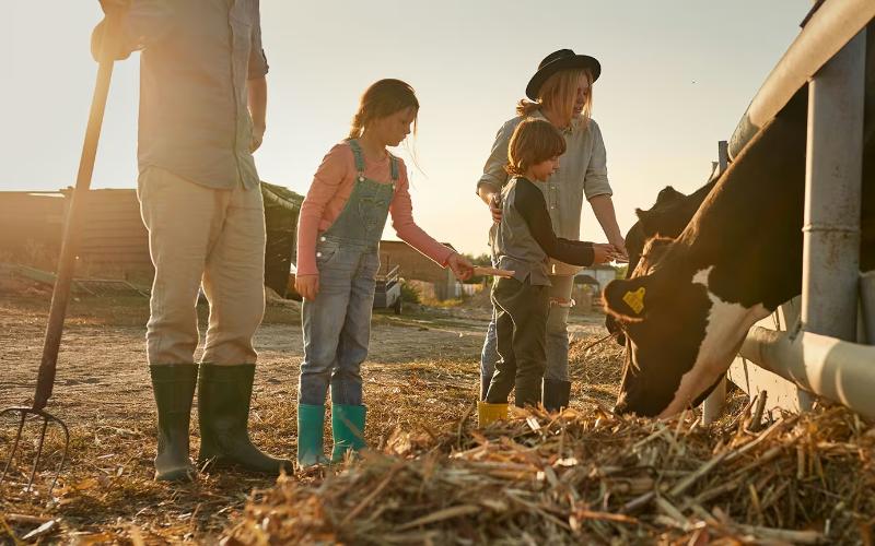 Spain's Dairy Industry Strengthens with the Formation of CoRural