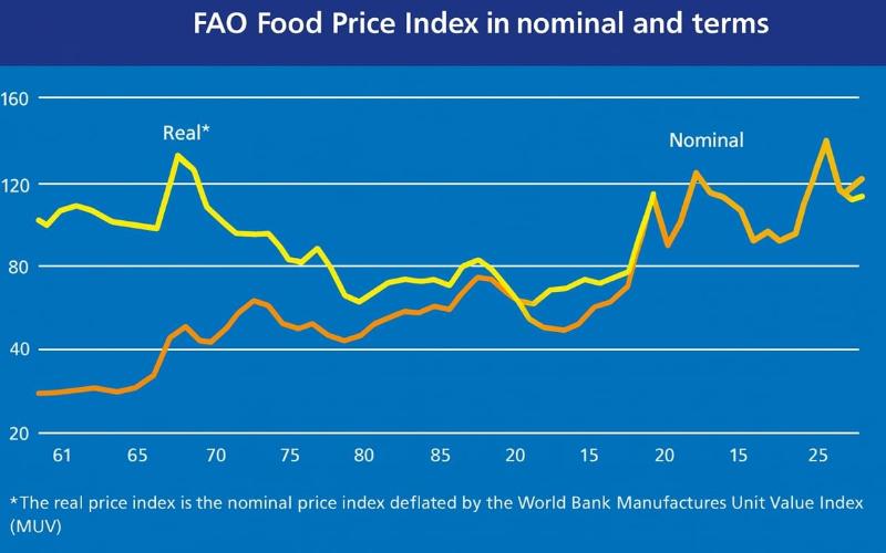 FAO Endeksi Eylül Ayında Düştü: Süt Ürünleri ve Şeker Düşüşü Tetikledi