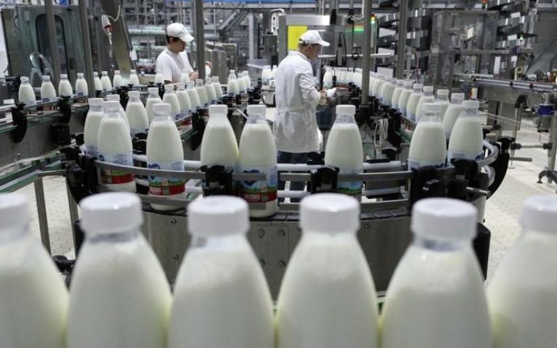 Global Dairy Demand Expected to Surpass Production over the Next Decade