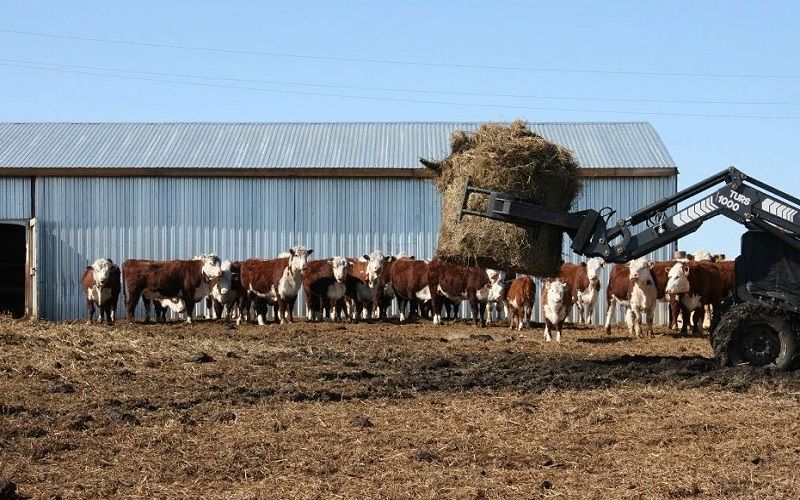Правительство Казахстана направит 1 трлн тенге на развитие сельхозкооперации