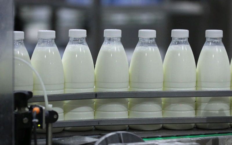 State Support for Russian Dairy Industry Increases in 2025