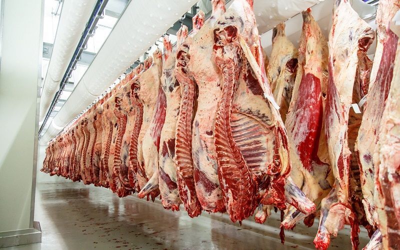 Казахстан наращивает производство мяса: за год переработка КРС и МРС выросла на 17%