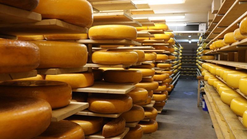 US Dairy Output Rises as Farmers Face Margin Pressure