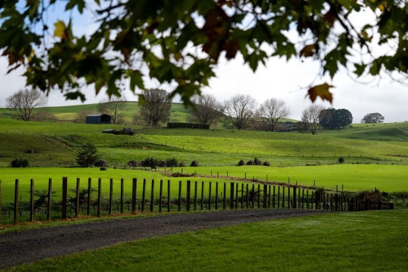 New Zealand dairy receives a new $46m investment