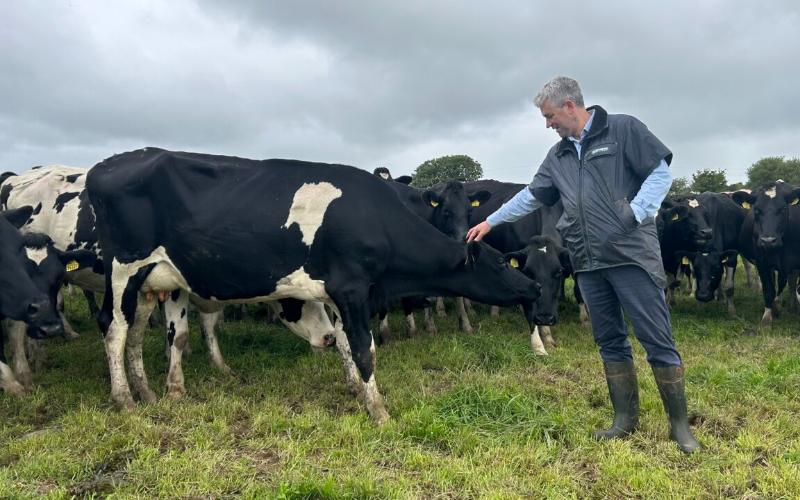 El controvertido plan de control de la tuberculosis bovina provoca rechazo entre los ganaderos lecheros irlandeses