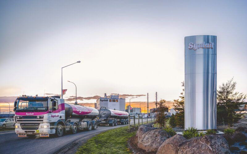Synlait Reports Losses Amid Bright Dairy Loan Extension and Asset Sales