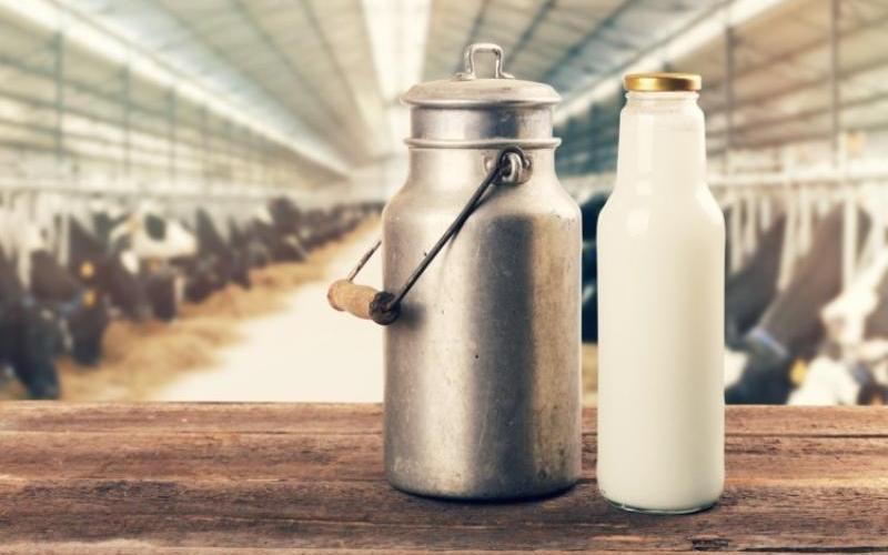 乳制品警告即将签署的自由贸易协定对行业构成严重风险