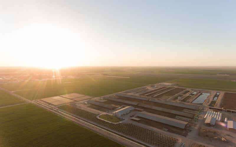 California Allocates $6.3 Million for Dairy Methane Reduction Initiatives