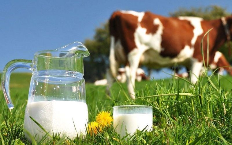 Mexico: Milk Price Increase Offers Relief to Producers in Sonora