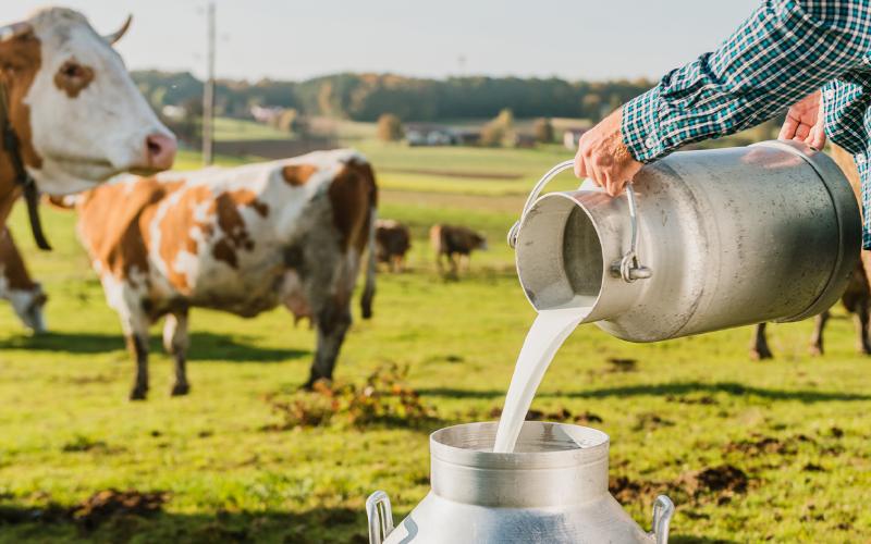 The Global Dairy Industry's Unyielding Dominance