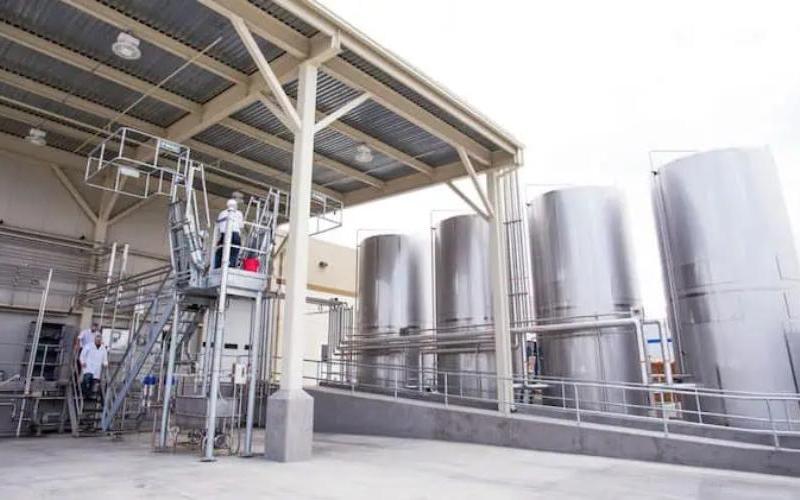 شركة Ninth Avenue Foods ستبني منشأة ألبان في لونغفيو، تكساس