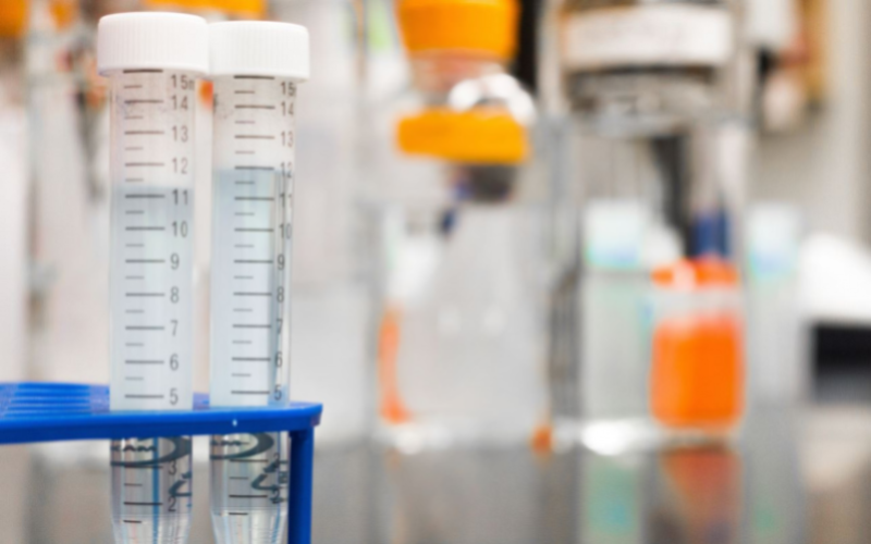 Wisconsin Dairy Farms Initiate Avian Flu Testing
