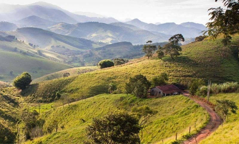 Traditional Cheesemaking Revives Economy in Serra da Mantiqueira