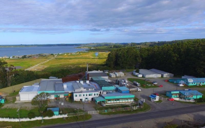 Chilolac Dairy Plant in Chiloé Closes Amid Market Challenges