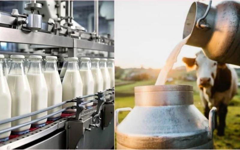 La crisis en el Medio Oriente eleva los costos de producción de lácteos a nivel mundial