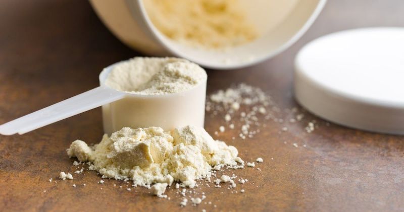 Food Scientists Explore Plant Proteins to Mitigate Whey Shortages