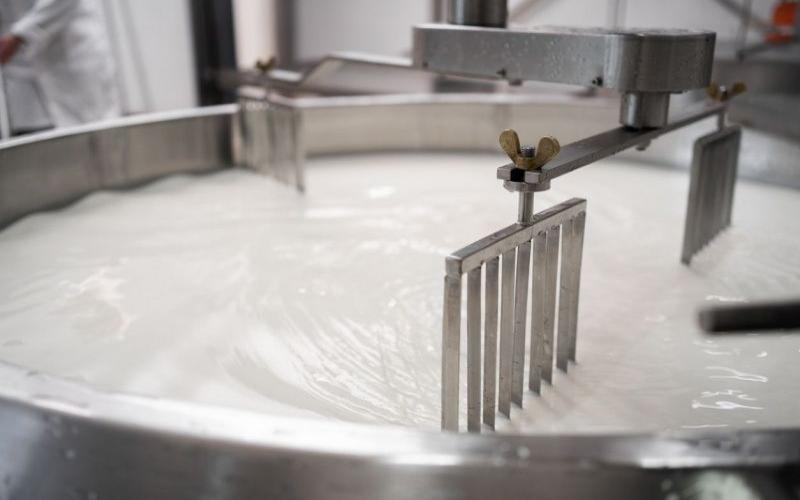 Политика нулевых пошлин Таиланда стимулирует экспорт молочной продукции из Новой Зеландии и Австралии