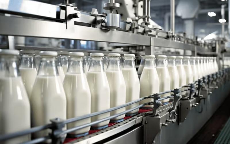 التجديد الاستراتيجي لشركة MilkFed في هيماشال براديش لتعزيز قطاع الألبان