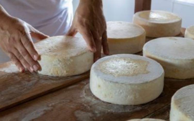 Schwarzwaldmilch Group and Käserei Bauhofer Forge Cheese Production Partnership