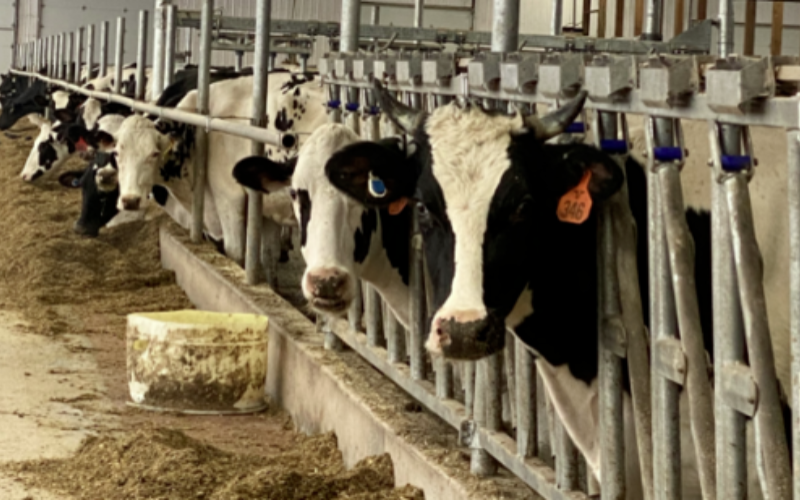 Clark Farms в округе Делавэр закрывает производство молочной продукции