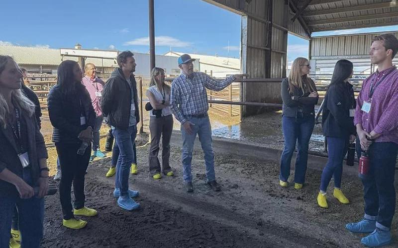 Dairy Checkoff Program Engages Food Industry Leaders in Sustainability Efforts