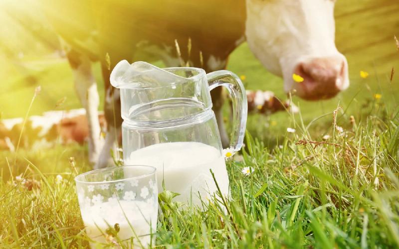 Record Growth in Colombian Dairy Exports: A 75% Surge in 2025