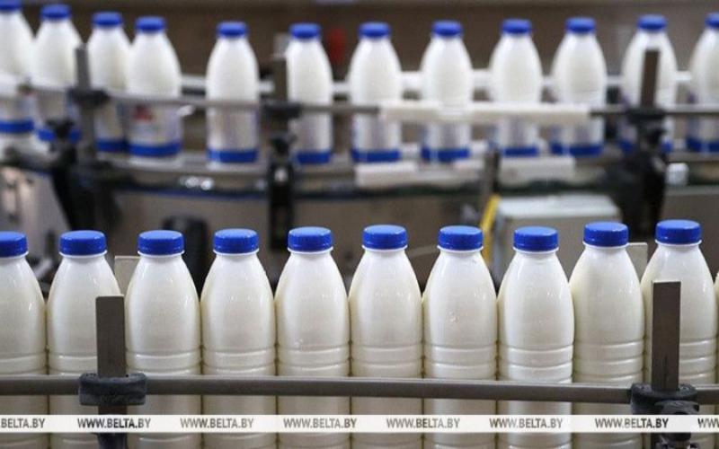 Belarus Dominates Russian Dairy Imports in 2024