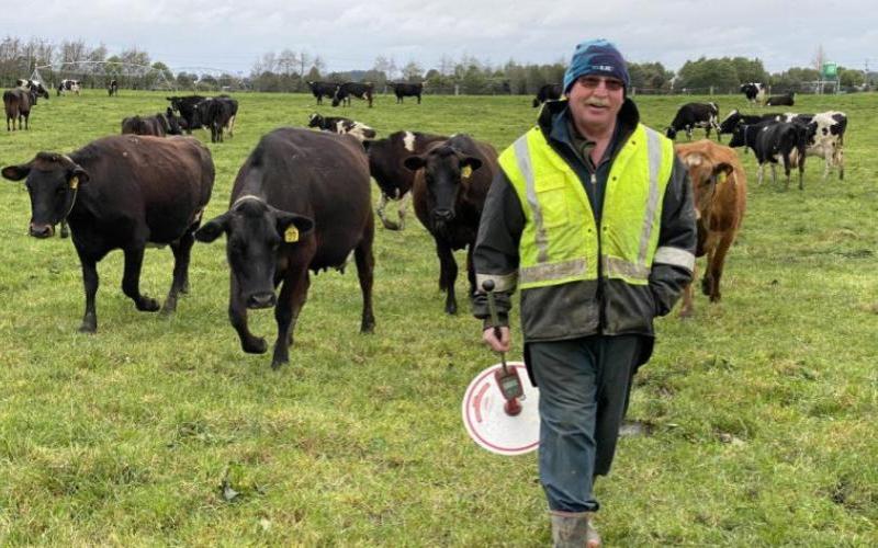 Lincoln University’s ‘World-Best Practice’ Dairy Farm Exposed In Shocking New Footage