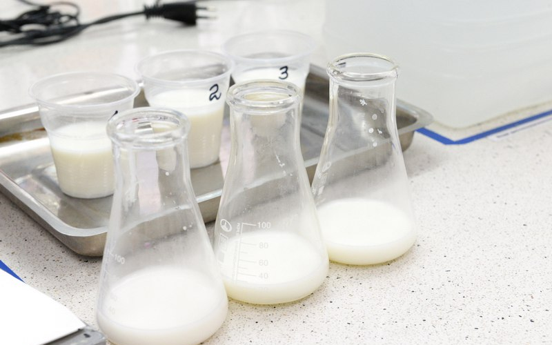 Динмухамед Айсаутов: уровень фальсификации молочных продуктов в Казахстане близок к нулю