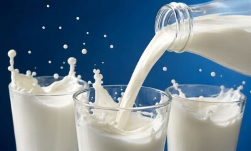 Brazil, Argentina and Uruguay will jointly discuss milk’s future