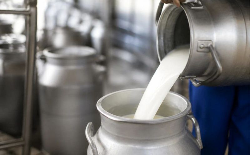 Milk Prices for Minas Gerais Producers Are Set to Fall 1.8% in October