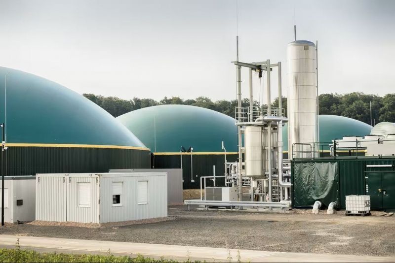 India’s dairy sector expands bioenergy use through livestock waste