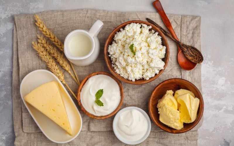 Impacto del Cambio Climático en la Productividad Láctea en India