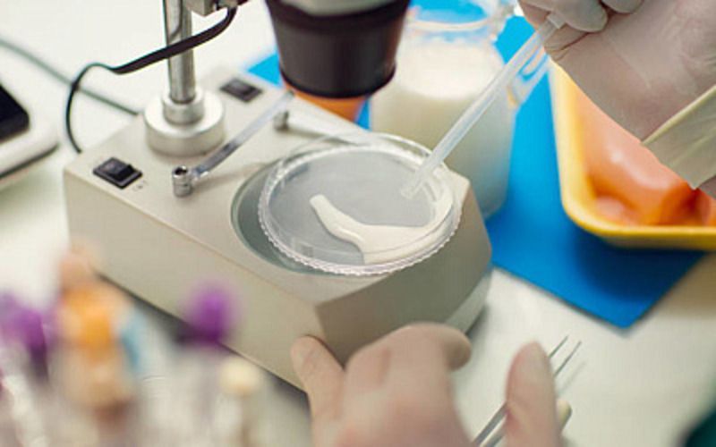 Ученые разных стран работают над созданием аналога молока, безвредного для окружающей среды