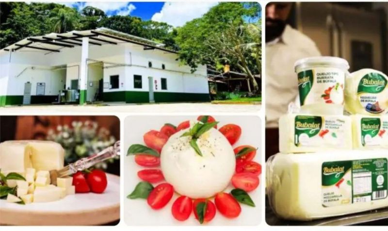 Bubalat Builds Growth Around Its Own Milk and Buffalo Burrata
