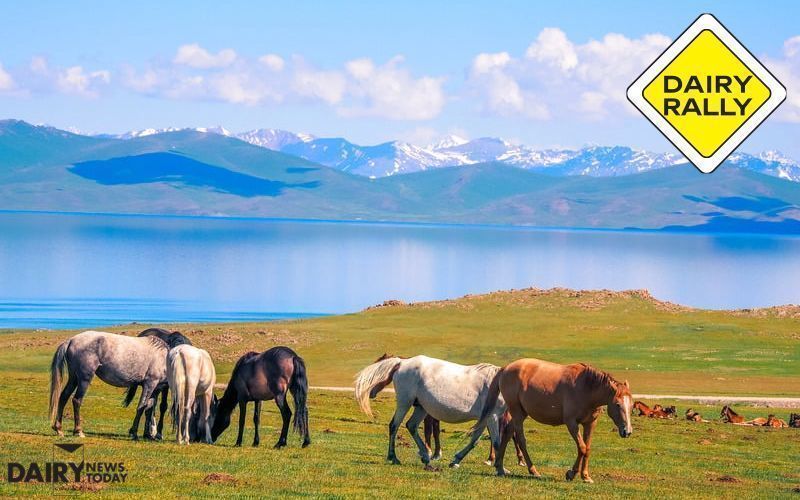  Registration is now open for the Dairy Rally in Kyrgyzstan