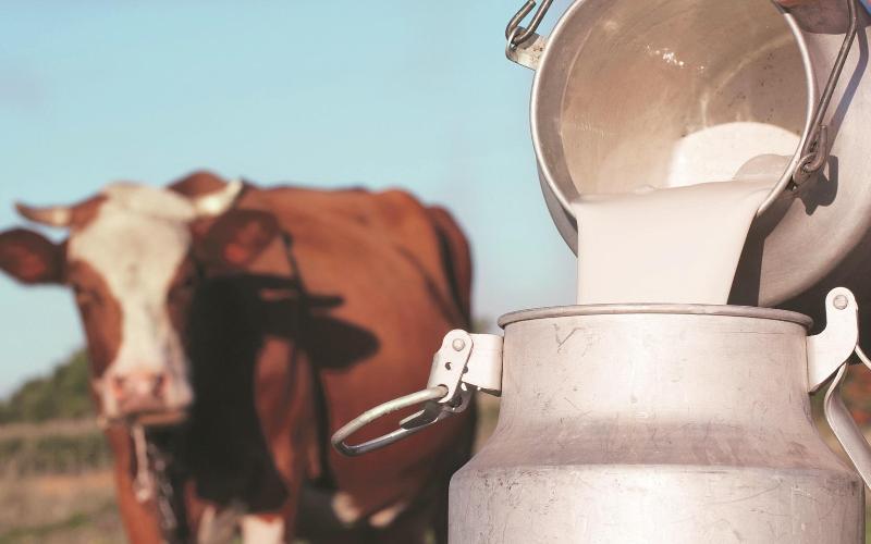 Turkish Cypriot Dairy Sector Calls for Import Suspension Amid Economic Slowdown