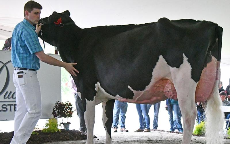 Million-Dollar Investment for the Dairy Sector