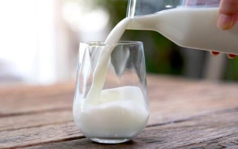 北方邦启动班德尔坎德地区乳制品基础设施重大扩建工程