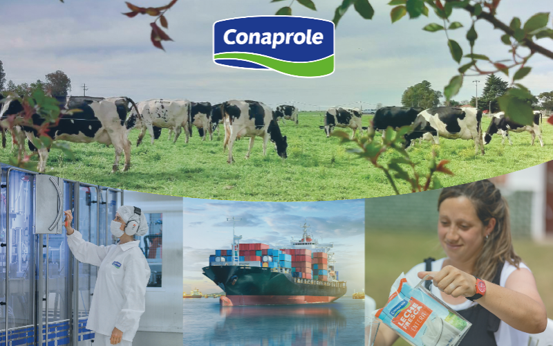 Conaprole在乌拉圭以增加牛奶出货量开启2026年