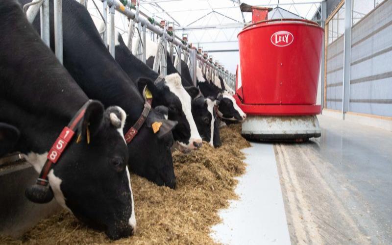 DMK Group and Arla Foods Move Towards Creating Europe's Largest Dairy Cooperative