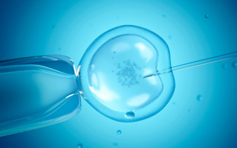 Dairy Fertility Breakthrough: Early Jab Boosts Conception