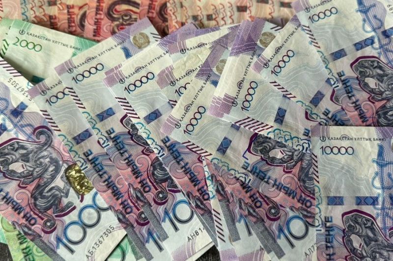 Казахстан направил 43 млрд тенге на закупку скота