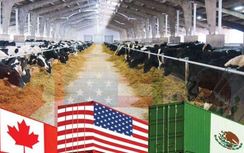 T-MEC: Süt Ürünleri Sektörü İnceleme İçin Hazırlanıyor