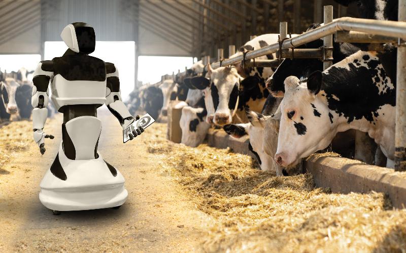 UK Dairy Farms Show Increased Milk Yields Amid Youngstock Concerns