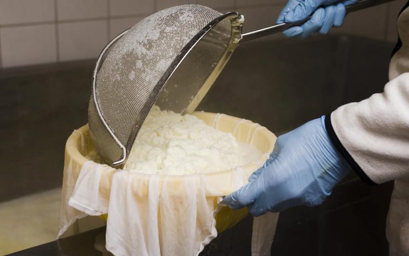 Technological Advancements Enhance Cheese Production in Arequipa, Peru