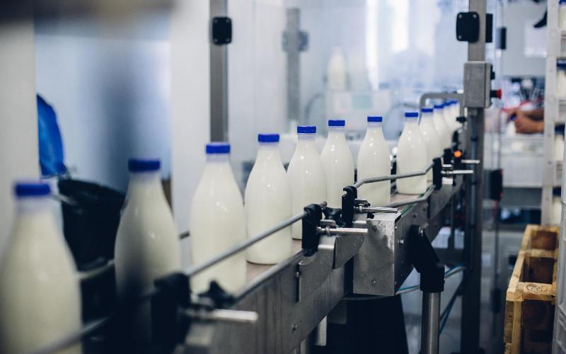 مزود الألبان البريطاني Ever Fresh Dairy يدخل في التصفية وسط تحديات الصناعة
